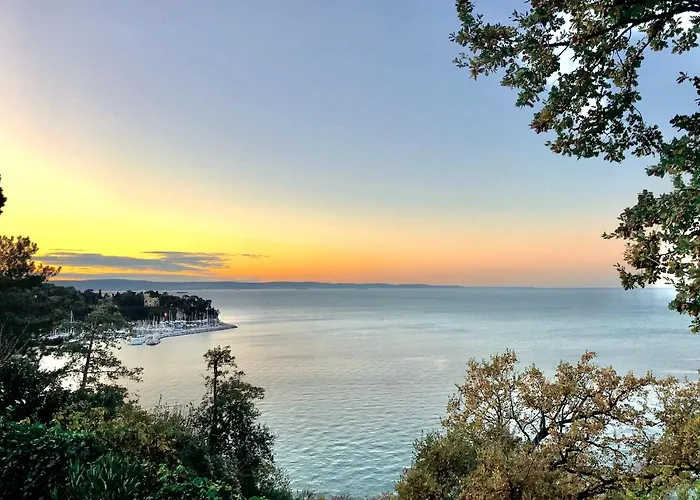 فندق Riviera & Maximilian's 4*